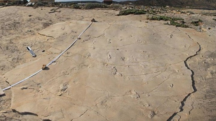 Έρευνα φέρνει παγκόσμια ανατροπή καταρρίπτοντας την σύγχρονη ιστορία: Στην Ελλάδα περπάτησε για πρώτη φορά ο άνθρωπος – Δείτε σε ποιο μέρος